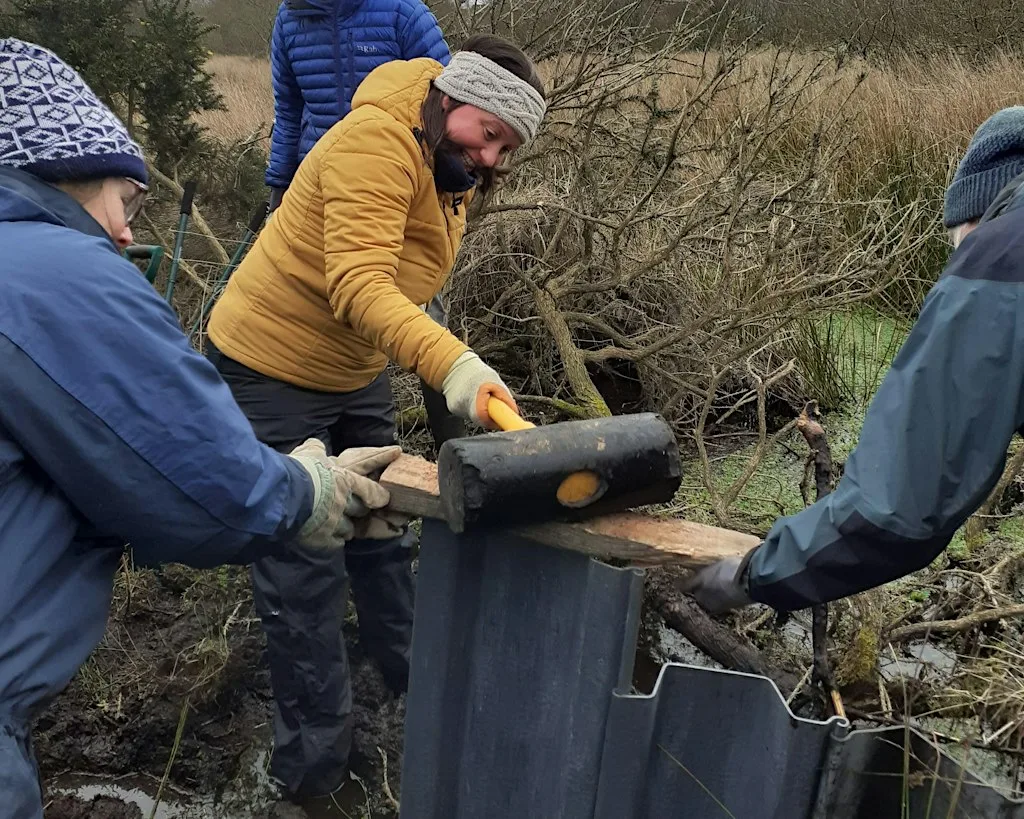 Preserve Portlethen Moss Day at Portlethen Moss