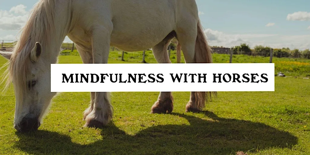 Mindfulness With Horses at Rachel's Farm