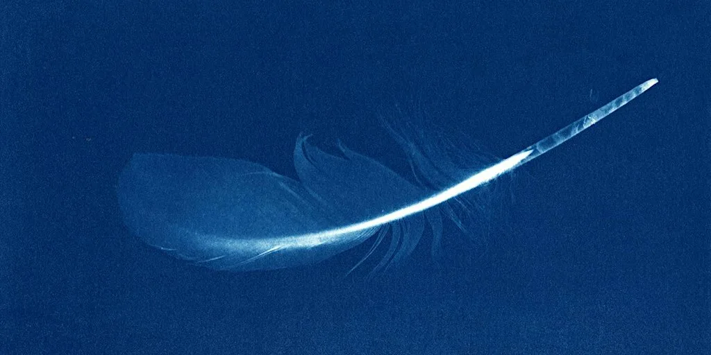 Classic Cyanotype