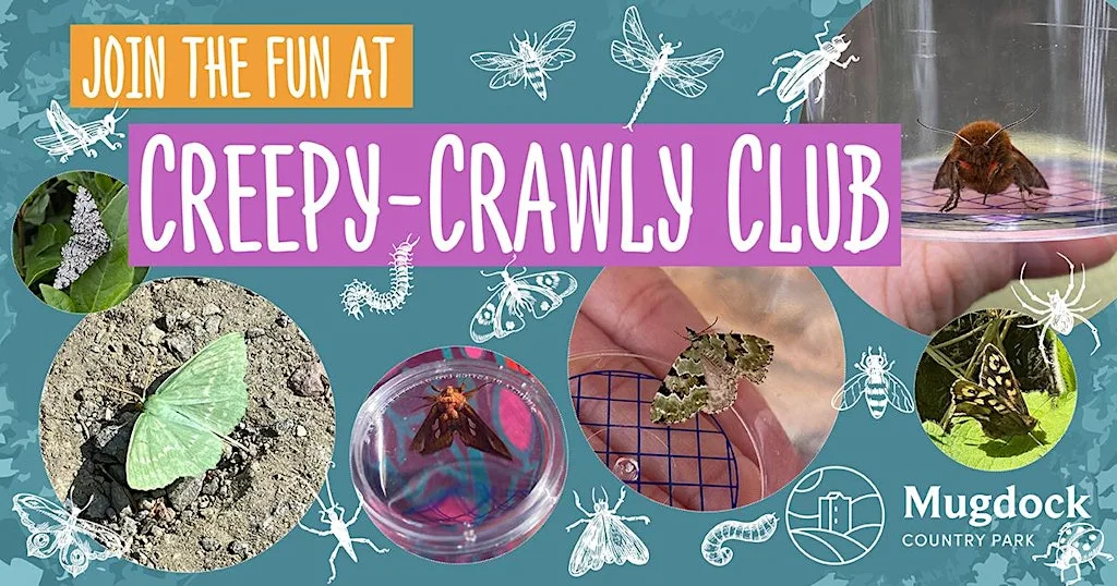 Creepy Crawly Club: Woodland Beasties!
