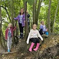 Summer Holiday Club at Lackford Lakes (ECC 2802) at Lackford Lakes