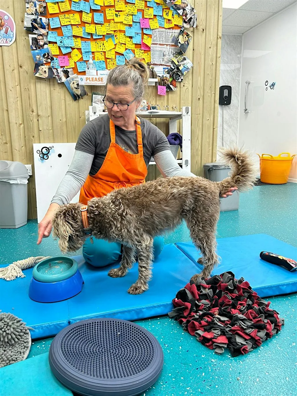 Happy Handling - Holistic Grooming Workshop