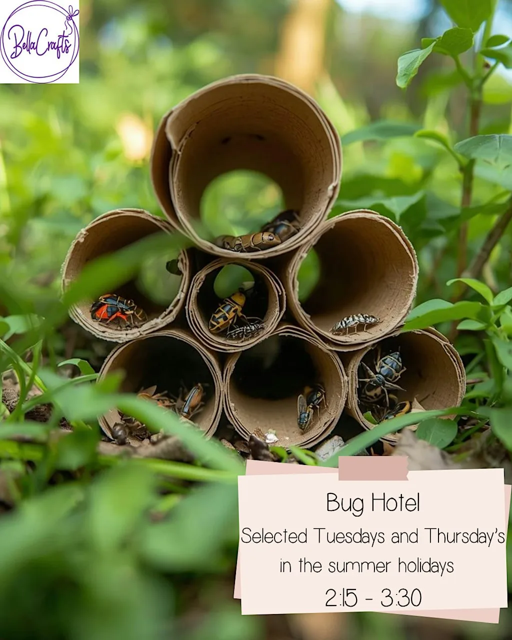 Kids | Create your own bug hotel