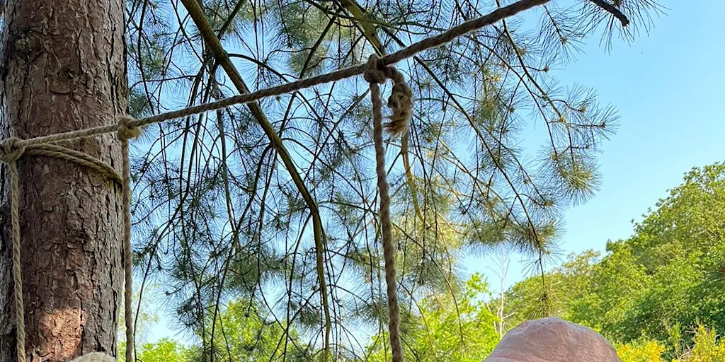 Wild Tots in Holywells Park: Summer Holiday specials (ECC 2808) at Holywells Park