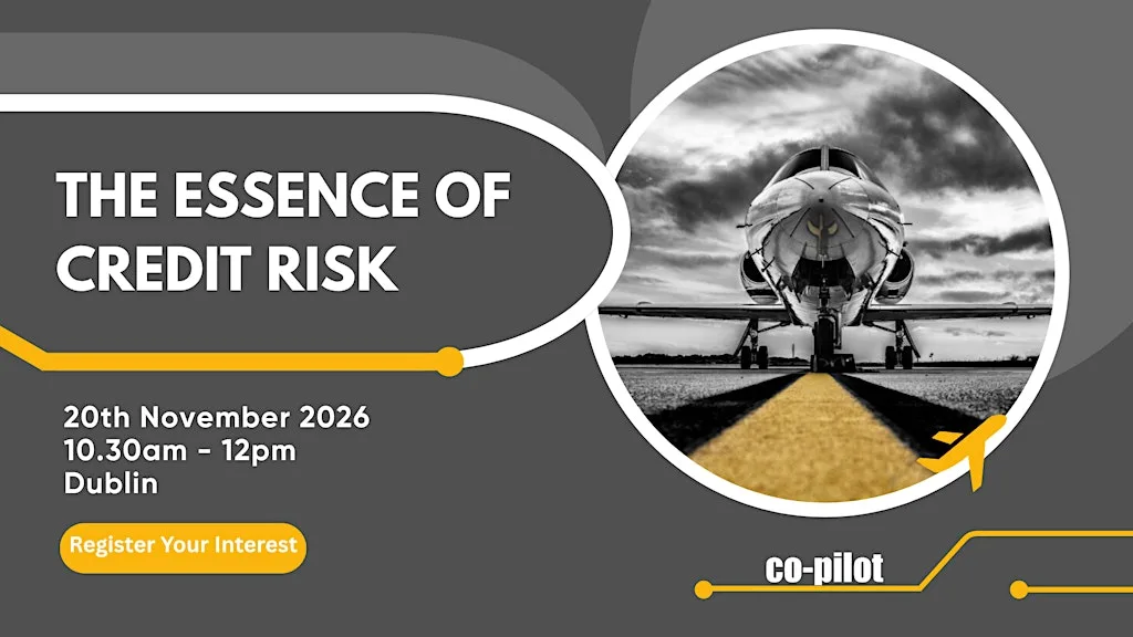 Co-pilot Essence of Credit Risk - Dublin Meeting at Royal Marine Hotel