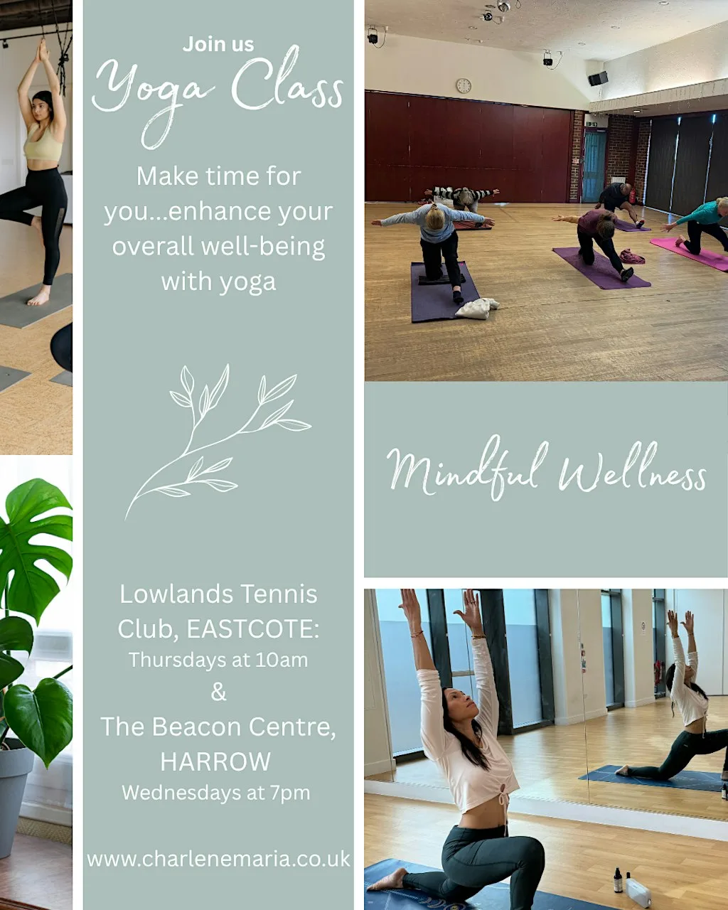 Yoga & Mindful Movement for Wellbeing at Lowlands Club
