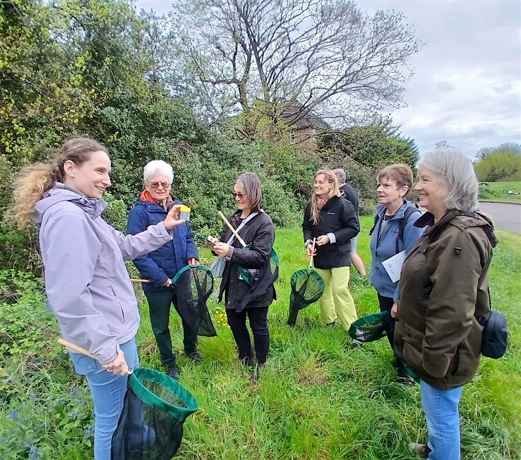 Blackheath (Lewisham) BeeWalk & Wildflower Survey - July at Cadet Training Centre