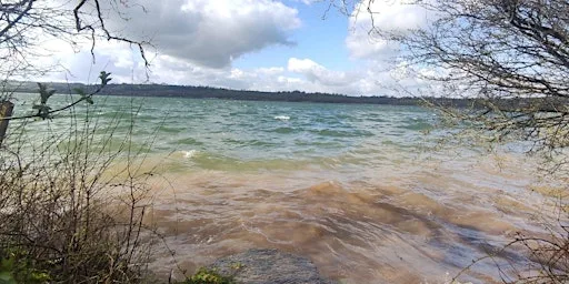 Experience Community Carsington Water Ramble at Millfields Car Park
