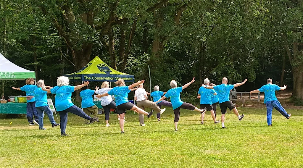 Tai Chi in the Woods (September to October 2026)