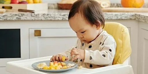 Introducing Solids Workshop (Thurs 8th Oct 2026) 1 - 2.30pm
