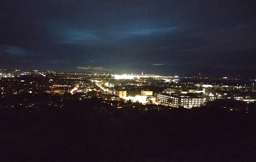 Guided Bat Walk - Portsdown Hill