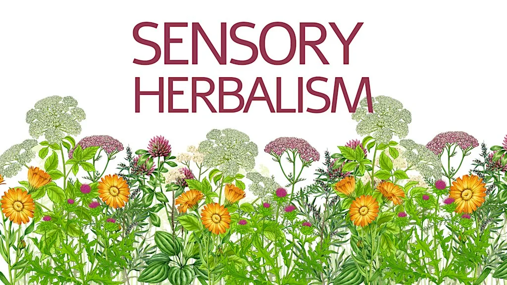 Sensory Plant Medicine Morning