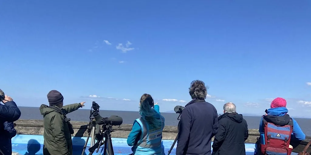 Wyre Sea Watch