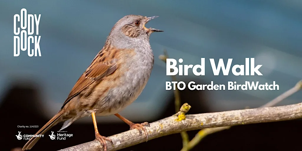 Bird Walk - BTO Garden BirdWatch