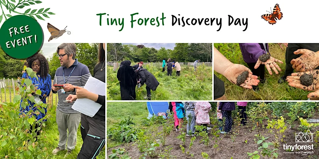 Tiny Forest Discovery Day: Victoria Park at Victoria Park