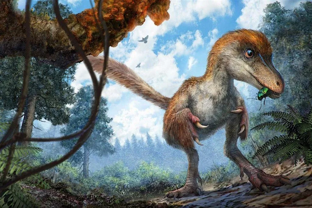 Dinosaurs : How Do We Know How They Lived? Family Friendly Lesson at Warminster Civic Centre