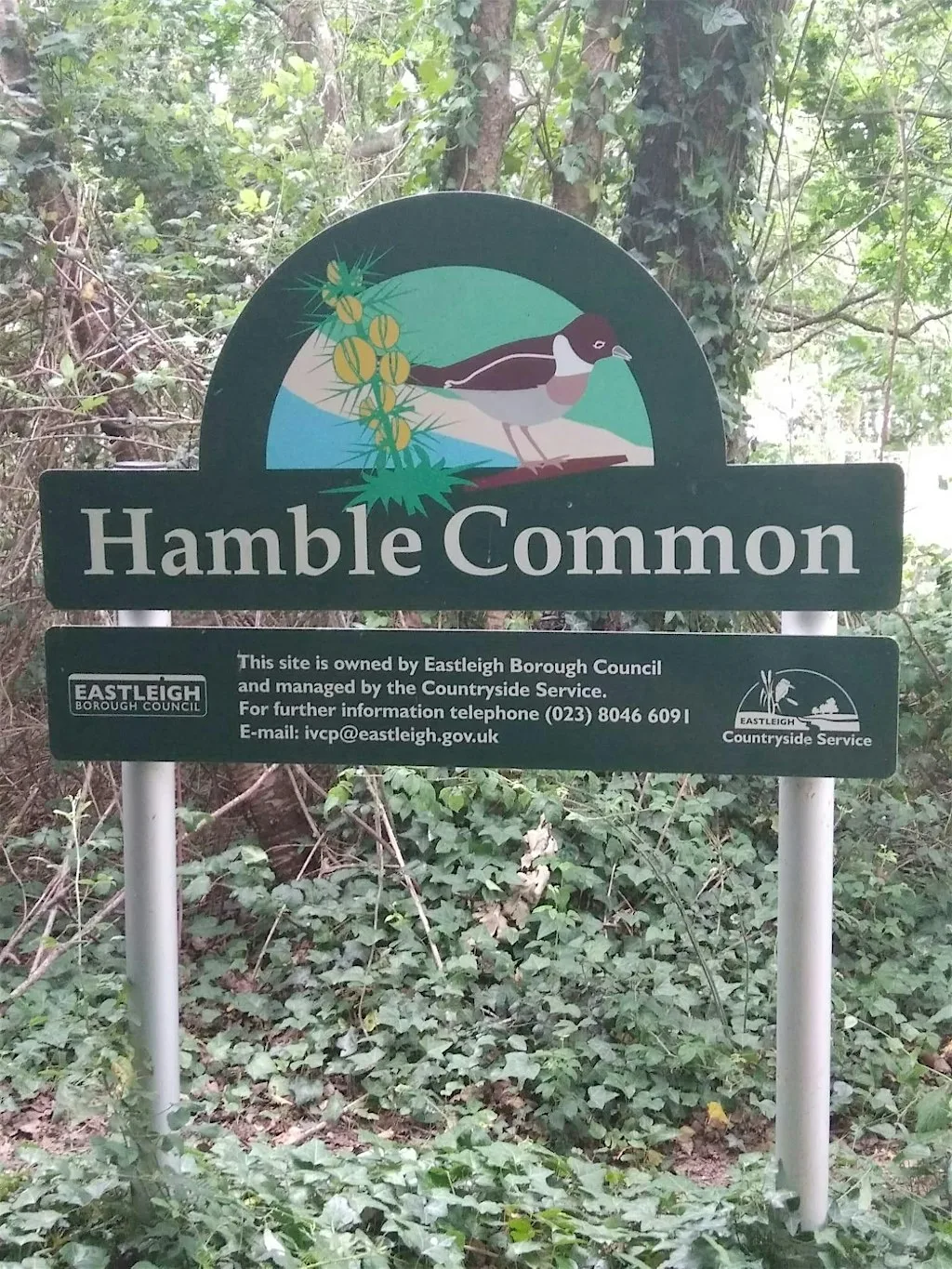 Hamble Nature Walk at Roy Underwood Pavilion