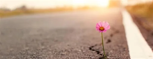 Spiritual Hope - a one-day retreat with Jake Dartington at Whirlow Spirituality Centre
