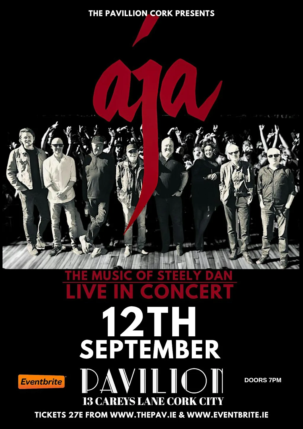 AJA - A Tribute to Steely Dan - Live at The Pavillion Cork at The Pav
