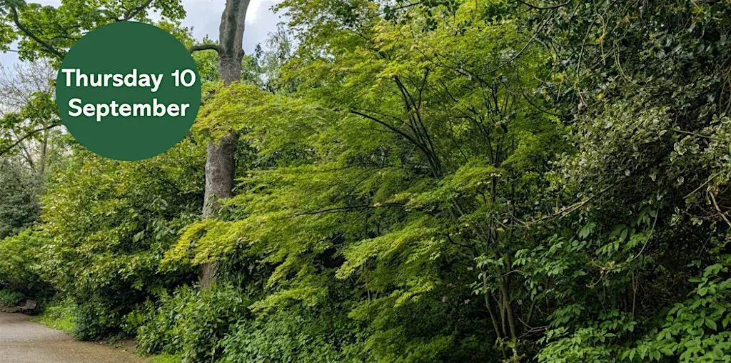 Gosforth's Wild Web: City Tree Trail at Armstrong Bridge