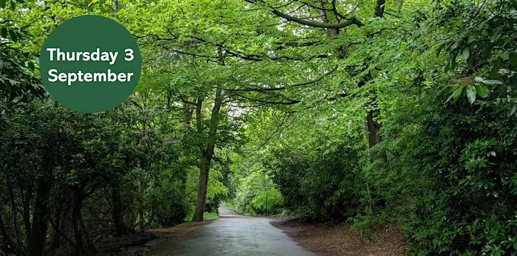 Gosforth's Wild Web: City Tree Trail at Heaton Park Car Park