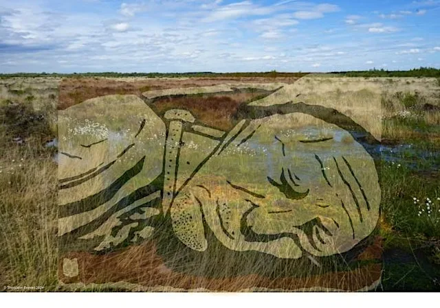 Preserved in Peat