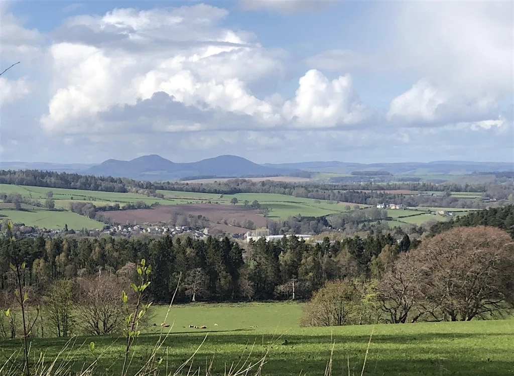 SBWF 2026 - Jedburgh East Circular