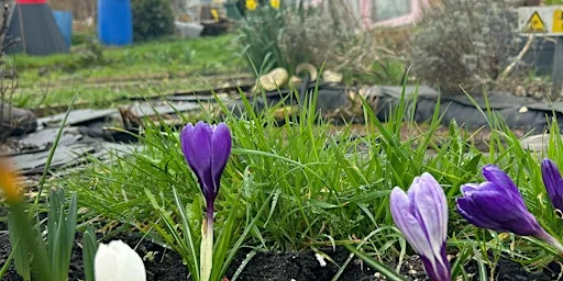 Community Gardening & Creative Sessions at Moulsecoomb Allotments