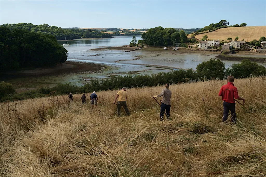Wild Work Open Day: Learn the Ancient Art of the Scythe at Carn Moor at Carn Moor
