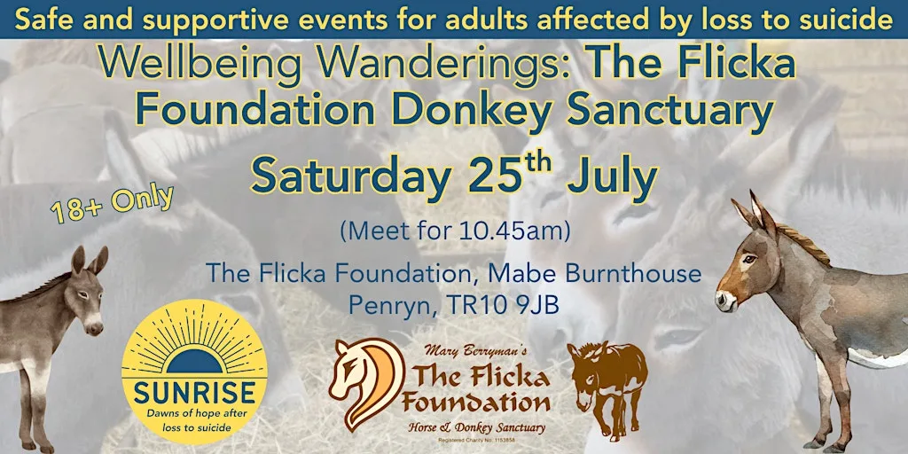 Wellbeing Wanderings: The Flicka Foundation Donkey Sanctuary at The Flicka Foundation Donkey Sanctuary