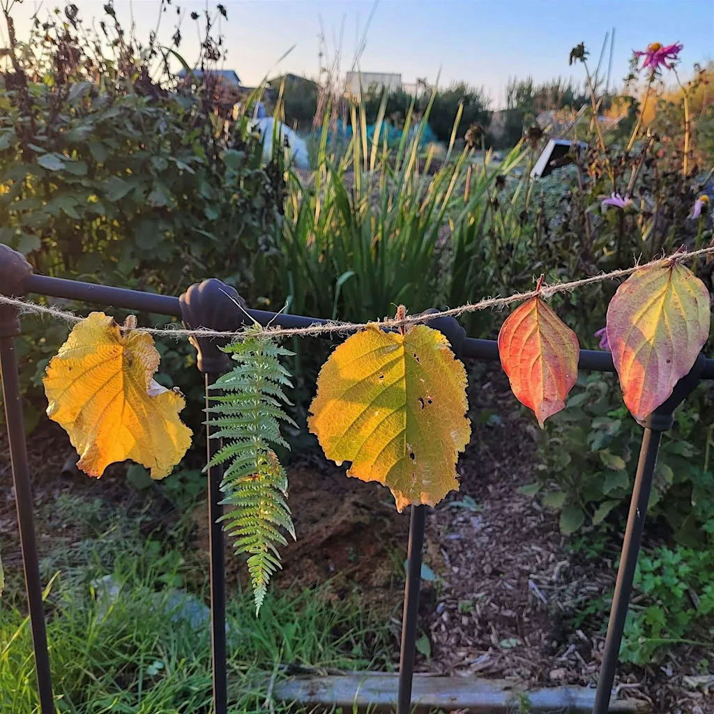 Forest School Skills Day - Autumn & Winter at Kendall Primary School