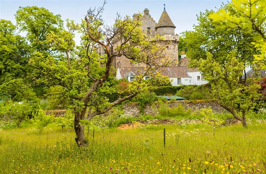 A Royal Teddy Bears Picnic at Falkland Palace at Falkland Palace & Garden