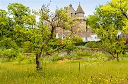 A Royal Teddy Bears Picnic at Falkland Palace at Falkland Palace & Garden
