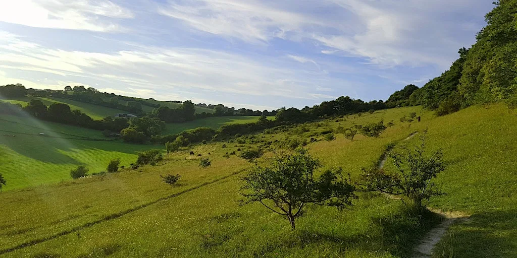 Summer Guided Walk - Yoesden Nature Reserve, Saturday 1 August at Yoesden