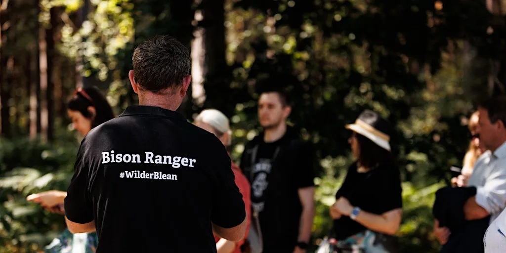 Bison Ranger Experiences: A Morning at West Blean at West Blean and Thornden Woods