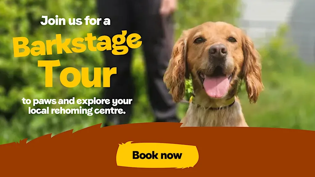 Barkstage Tour at Dogs Trust Shoreham Rehoming Centre