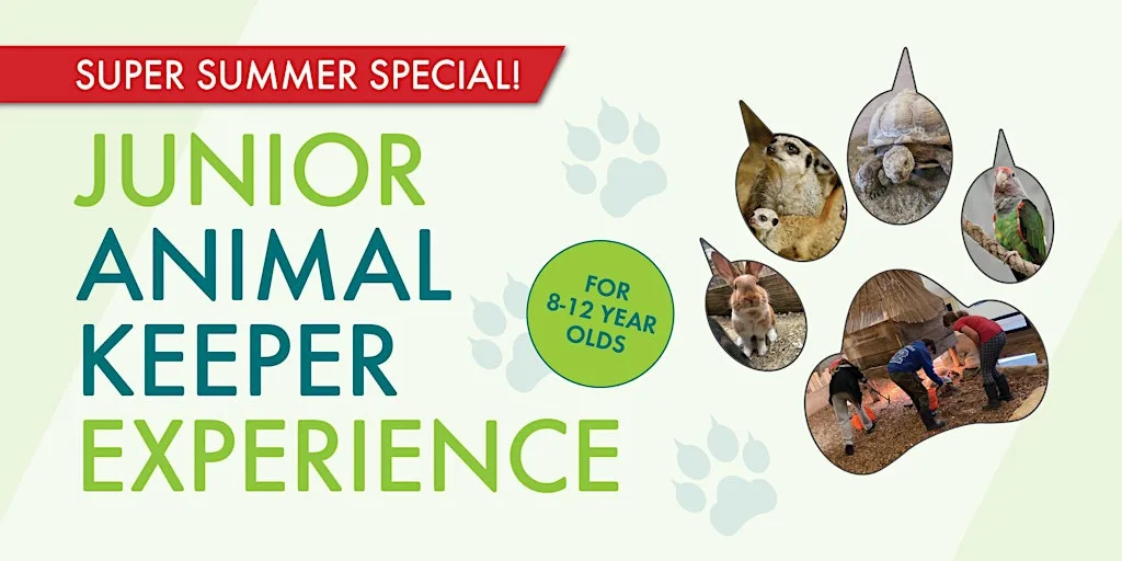 Super Summer Special Junior Keeper for a Day! at Merrist Wood College