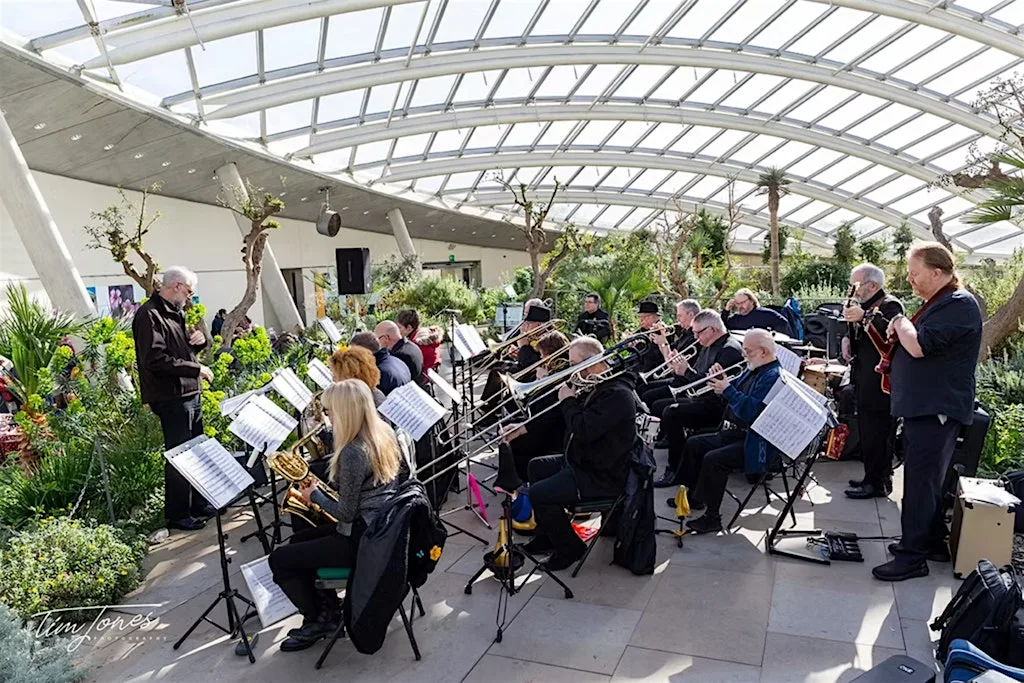 The Sound of Summer | Sŵn yr Haf at National Botanic Garden of Wales | Gardd Fotaneg Genedlaethol Cymru