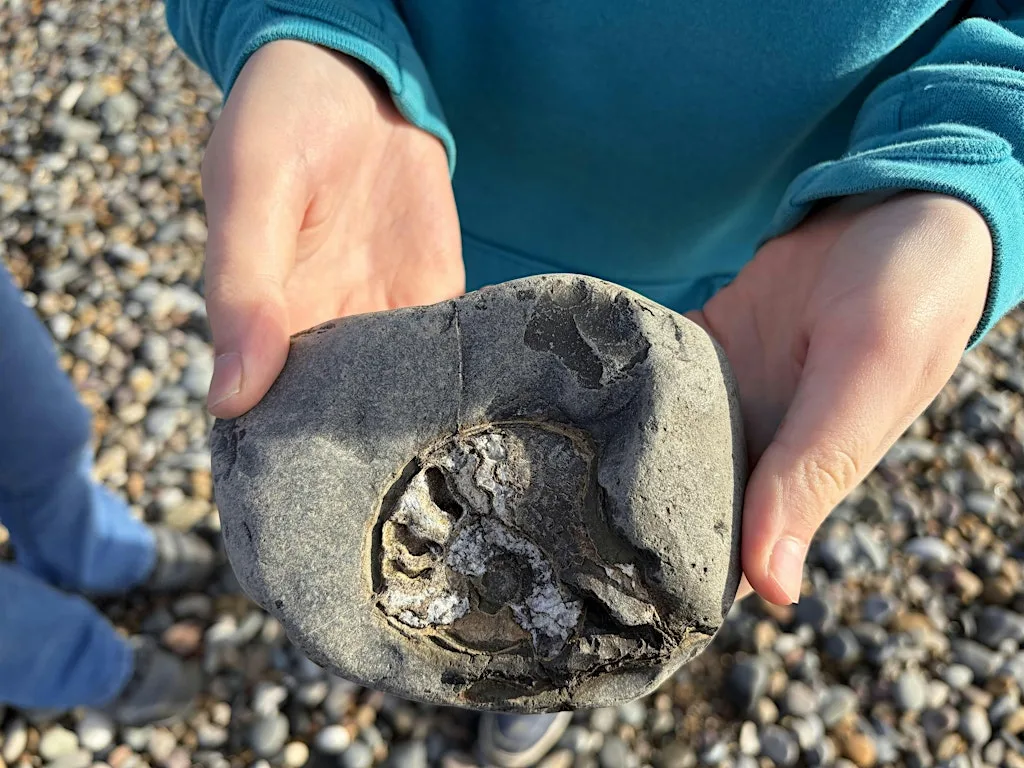 Secrets of the Shore at Spurn Discovery Centre