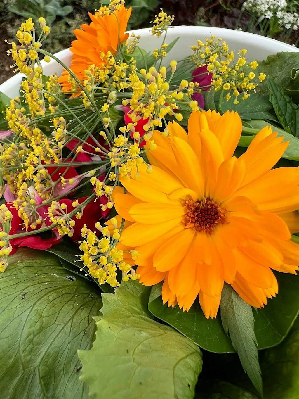 Unusual edibles - tour & tasting at Hestercombe House & Gardens