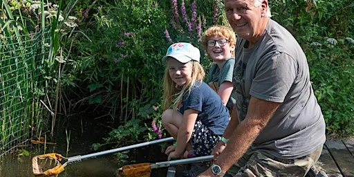 Wildfamilies Minibeast Hunt & Pond Dipping at The Wolseley Centre at The Wolseley Centre