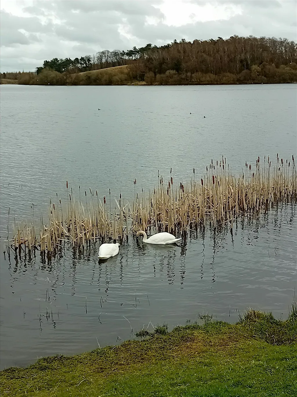 A Walk to the Dams