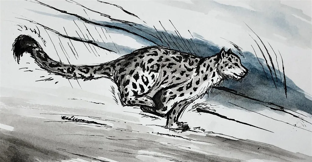 Big Cats Art Workshop with Chad: Children Aged 5-10 & Family Session at Happydashery