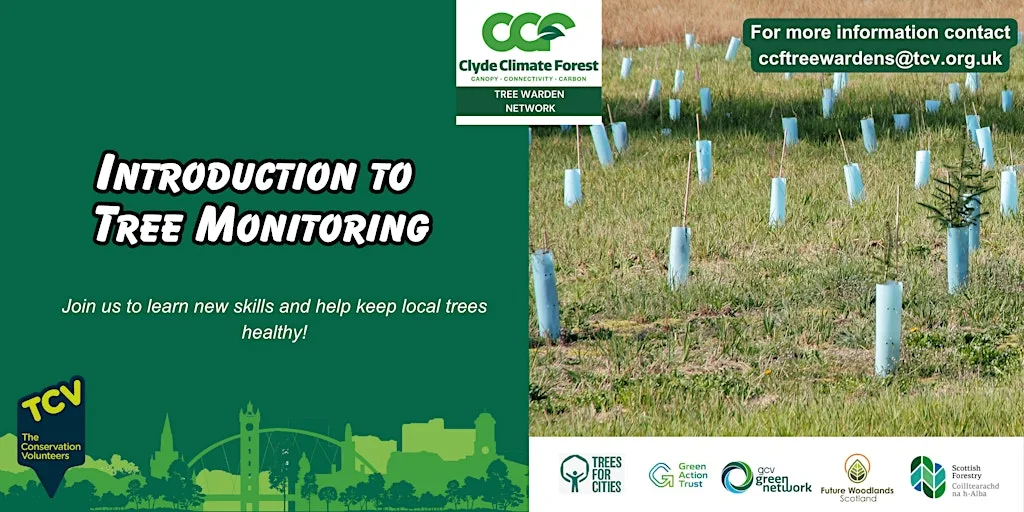 Tree Monitoring and Maintenance in Glasgow with CCF Tree Wardens