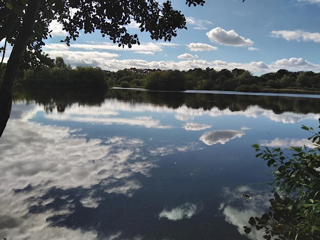 Summer Saunter at Birnie and Gaddon Lochs at Birnie and Gaddon Lochs Local Nature Reserve
