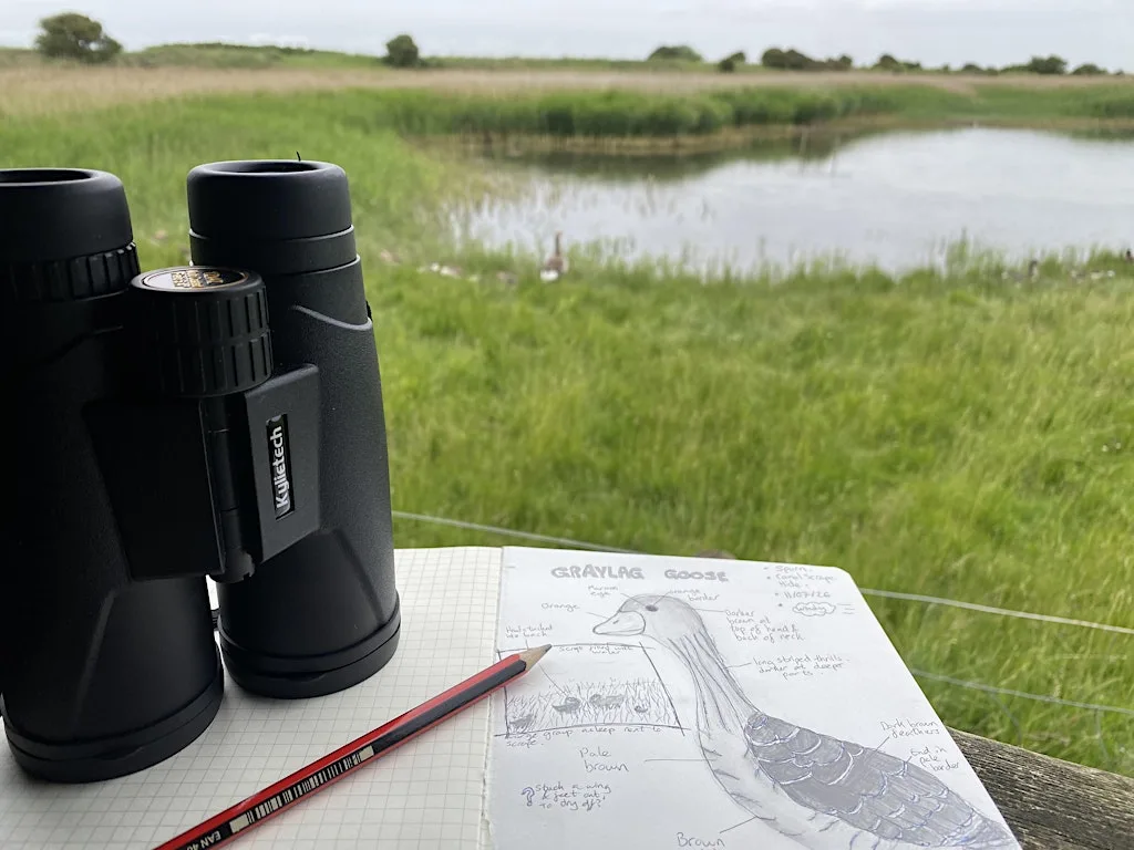 An Introduction to Nature Journaling at Spurn Discovery Centre