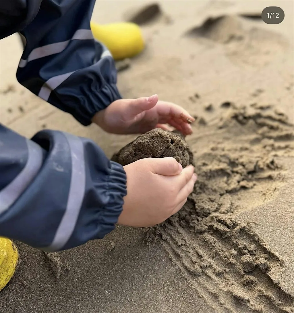 Observation Schema and Assessment