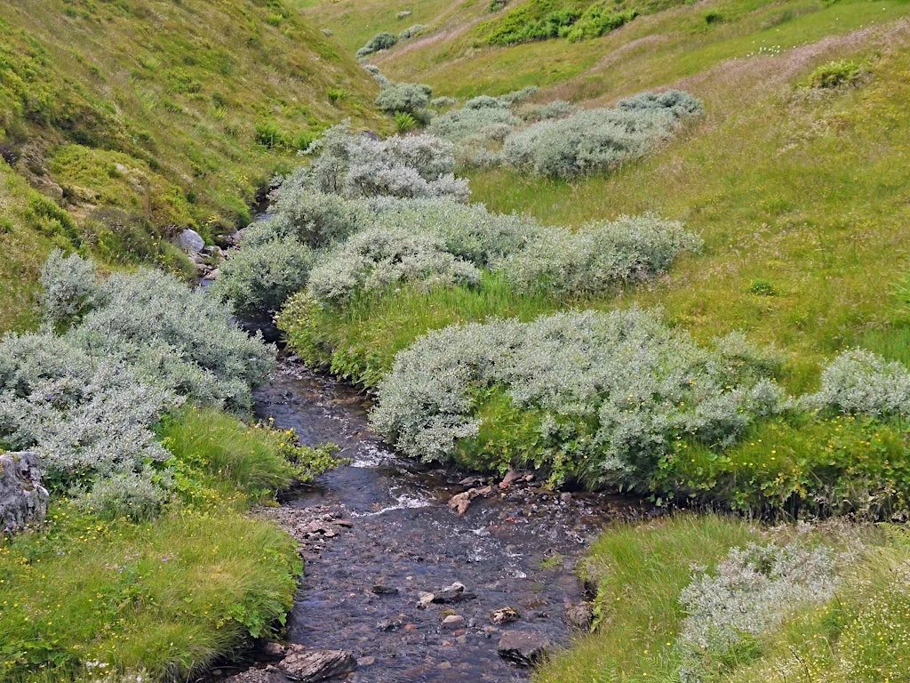 Mountain Woodland Action Group Conference at Birnam Arts