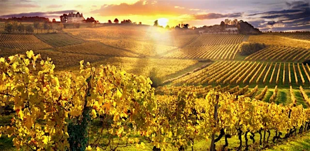 The Summer Wines Tasting at Kings Court Hotel Alcester - Stratford Upon Avon
