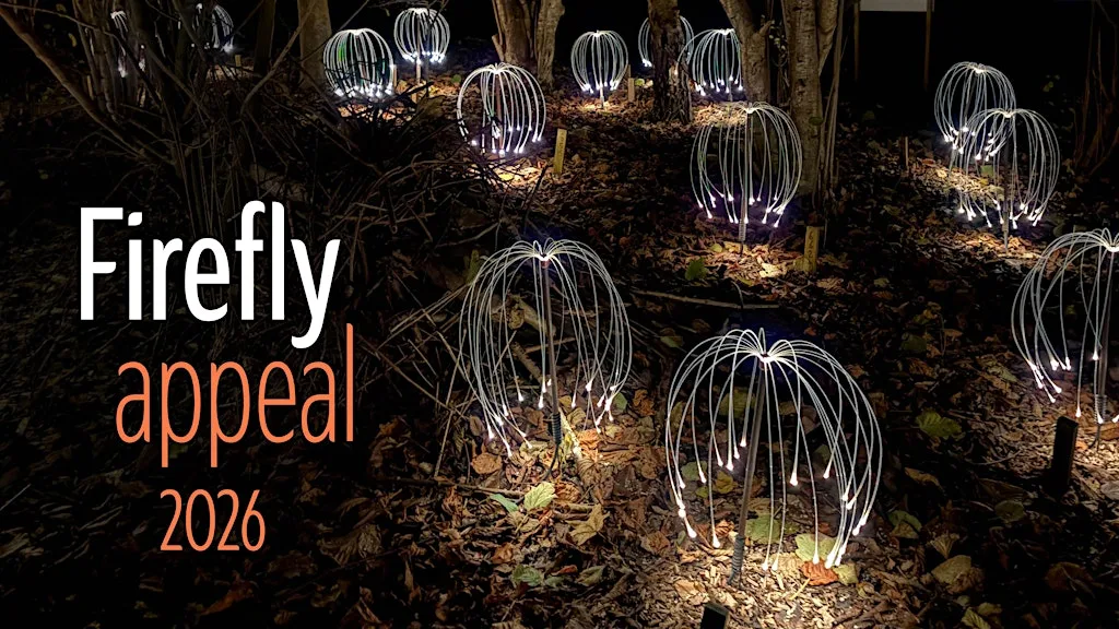 Firefly Celebration Evening - Thursday 15 October 2026